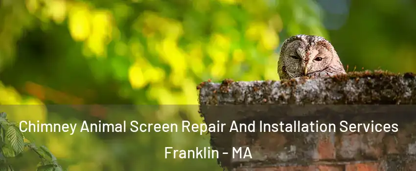  Chimney Animal Screen Repair And Installation Services Franklin - MA
