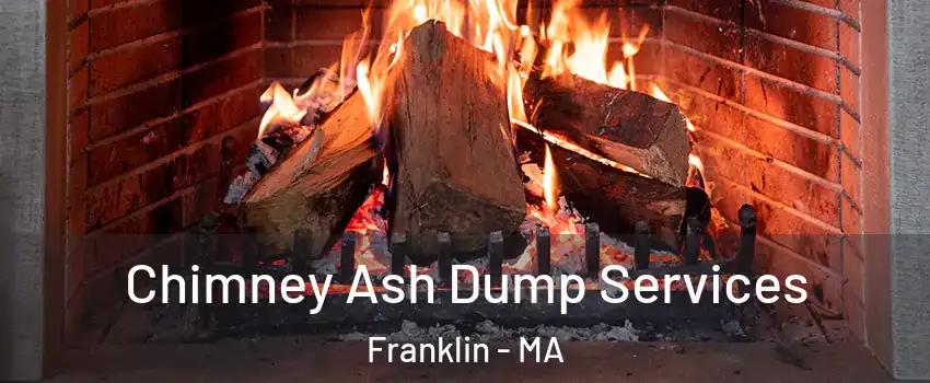  Chimney Ash Dump Services Franklin - MA