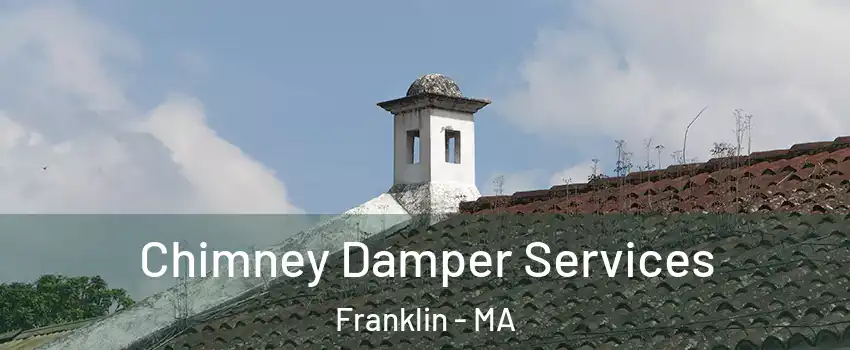  Chimney Damper Services Franklin - MA