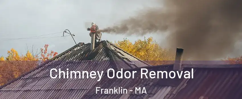  Chimney Odor Removal Franklin - MA