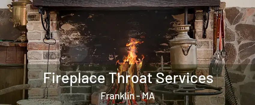  Fireplace Throat Services Franklin - MA
