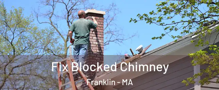  Fix Blocked Chimney Franklin - MA