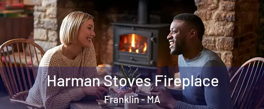  Harman Stoves Fireplace Franklin - MA