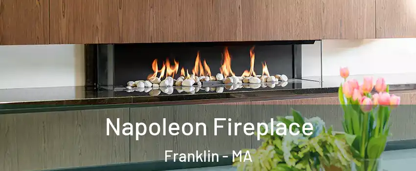  Napoleon Fireplace Franklin - MA